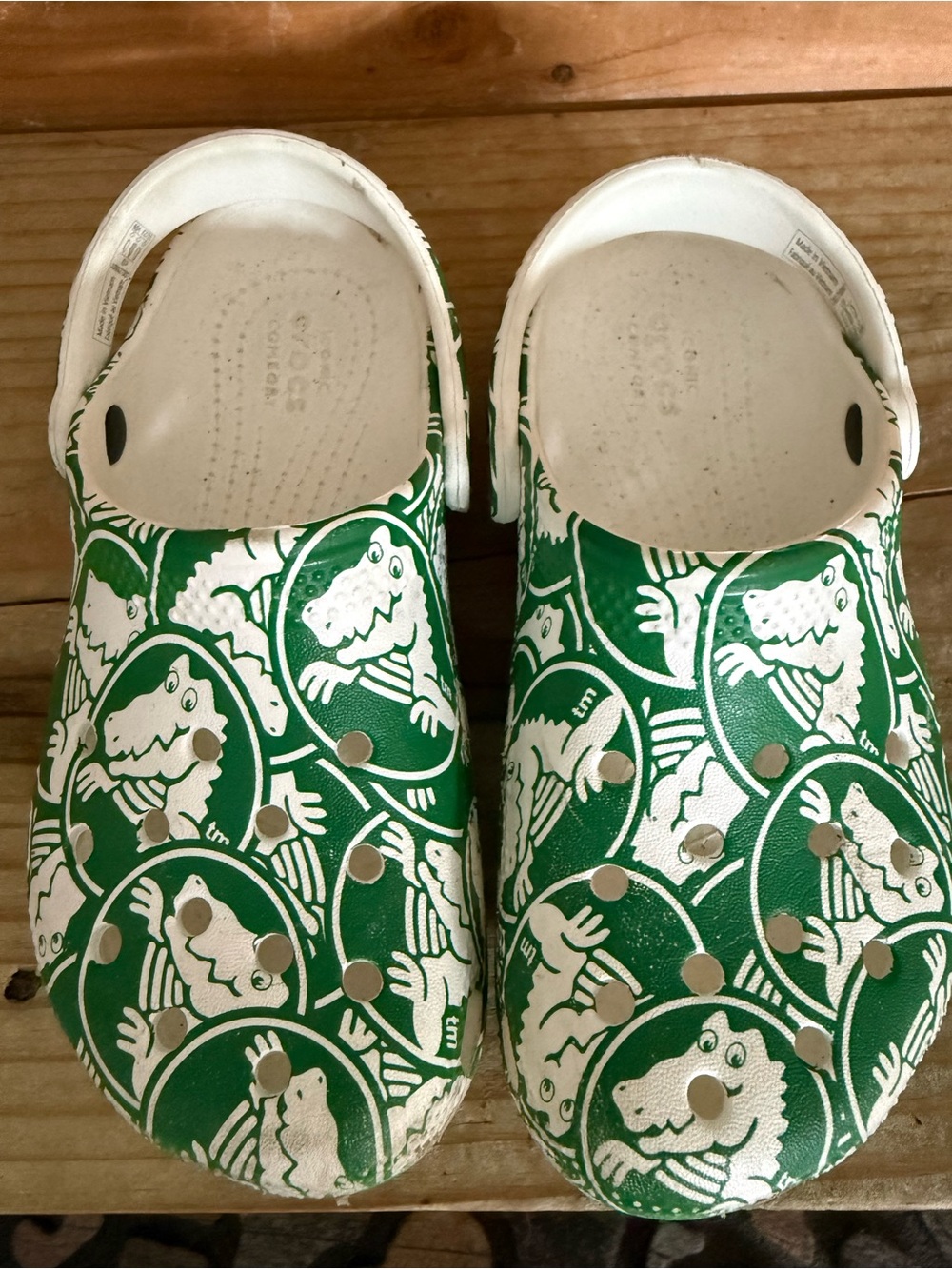 CROCS Kids Green & White Dinosaur Print Clogs